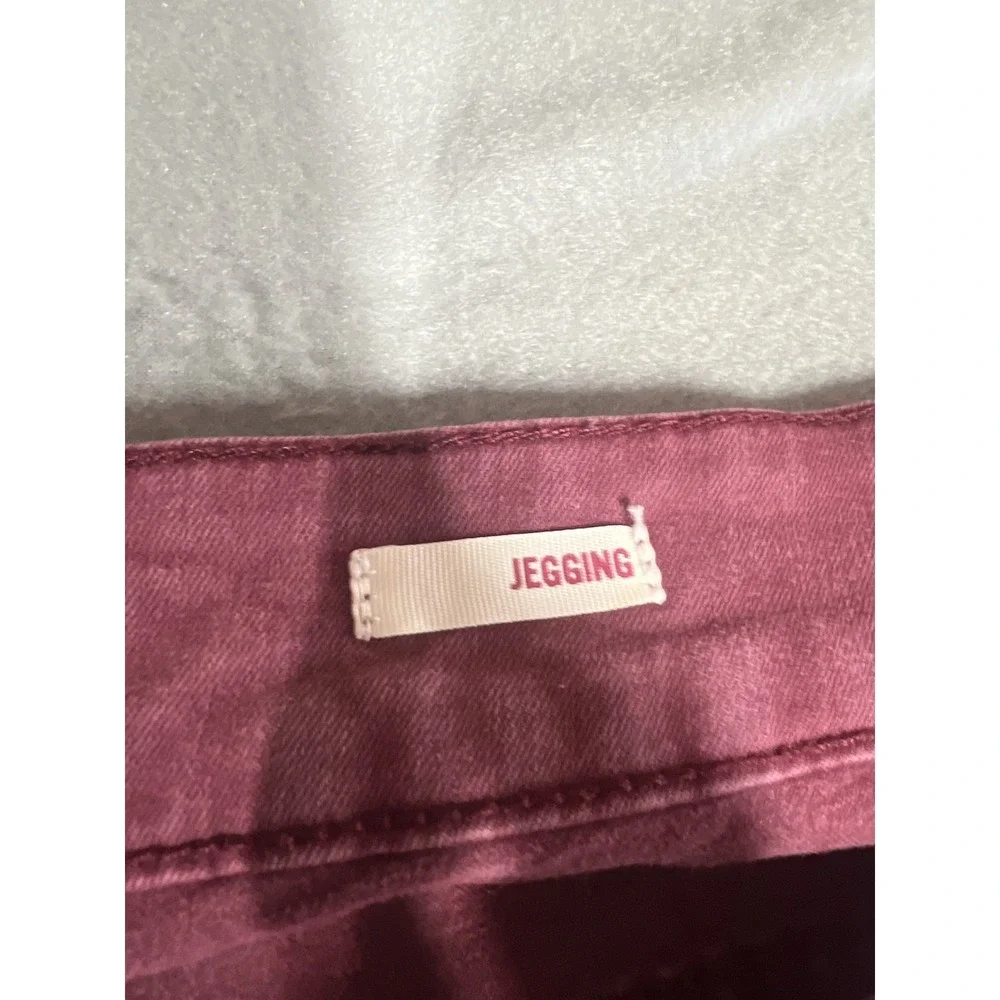 Arizona Jeans Women's Plus Size 20 Burgundy Distressed‎ Jeggings Skinny Fit